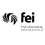 FEI Logo Transparent PNG