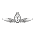 FUERZA AEREA ARGENTINA Logo Transparent PNG
