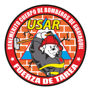 FUERZA DE TAREA