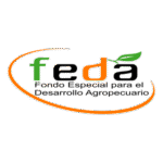 Feda Logo Transparent PNG