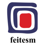 Feitesm Logo Transparent PNG