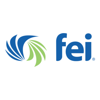 Financial Executives International FEI