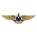Flying Eagle Aviation Logo Transparent PNG
