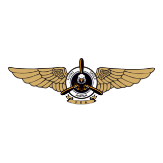Flying Eagle Aviation