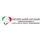 Fondation Mohammed VI Logo Transparent PNG
