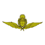 Fuerza Aerea Argentina Argentina Air Force Logo Transparent PNG