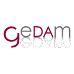 Gedam Srl Logo Transparent PNG
