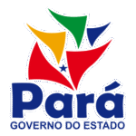 Governo Do Pará Logo Transparent PNG
