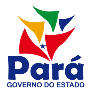 Governo Do Pará