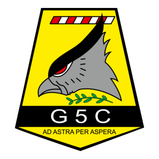 Grupo 5 De Caza