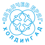 Holding AD Logo Transparent PNG