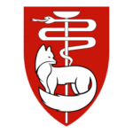 IDF Medical Corps At Southern Command Logo Transparent PNG