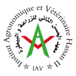 Iav Maroc Logo Transparent PNG