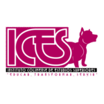 Ices Logo Transparent PNG