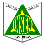 Insem Logo Transparent PNG