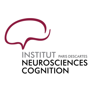 Institut Des Neurosciences Et De La Cognition