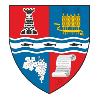 JUDETUL BIHOR STEMA