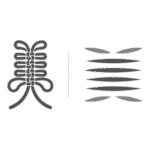 Kyoto City Senior HS Of Art Logo Transparent PNG