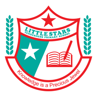 Little Stars Tenderness Nursery And Primary School