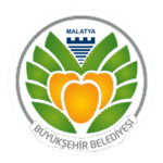 Malatya Buyuksehir Logo Transparent PNG