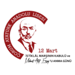 Mehmet Akif Ersoy Logo Transparent PNG