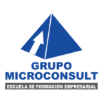 Microconsult Peru Logo Transparent PNG