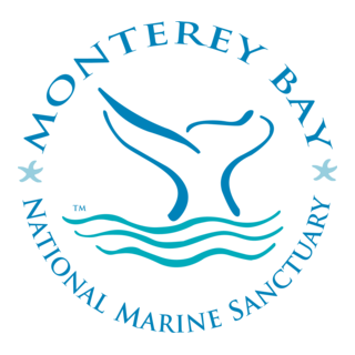 Monterey Bay