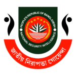 National Security Intelligence NSI Logo Transparent PNG
