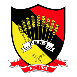 Negeri Sembilan FA 2015