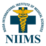 Niims Logo Transparent PNG