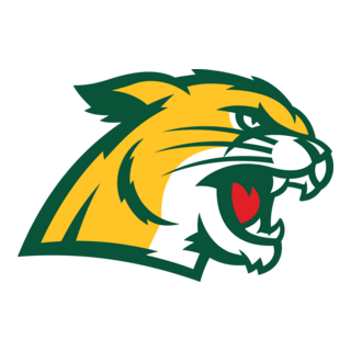 Northern Michigan Wildcats