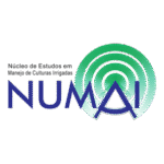 Numai Logo Transparent PNG