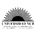 Nur Logo Transparent PNG