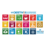 ODS ONU Logo Transparent PNG