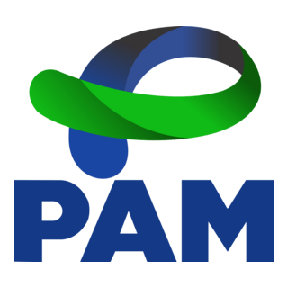 PAM Governo Do Paraná