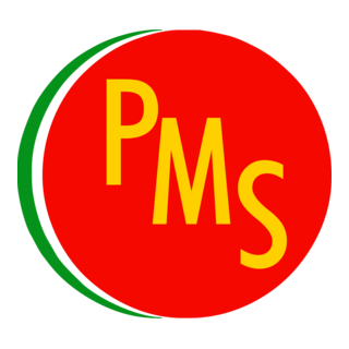 PMS Partido Mexicano Socialista