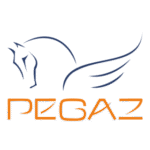 Pegaz Logo Transparent PNG