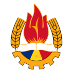 Pioneer Organization Romania Logo Transparent PNG