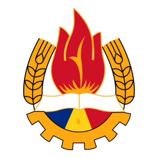 Pioneer Organization Romania
