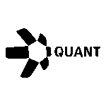 Quant QNT Logo Transparent PNG