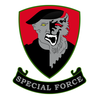 RAB Vest Insignia