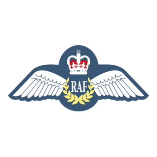 RAF Tunic Badge