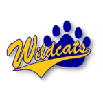 River Falls High School Wildcats Logo Transparent PNG