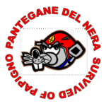 River Rescue Team Rimini Logo Transparent PNG