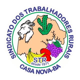 STR Sindicato Trablhadores Rurais Casa Nova BA