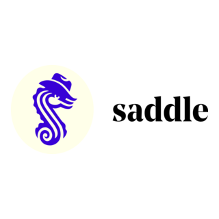 Saddle Finance