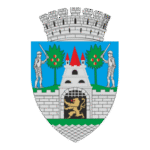 Satu Mare Logo Transparent PNG