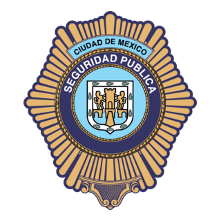 Seguridad Publica Cd De Mex
