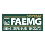 Sistema Faemg Logo Transparent PNG