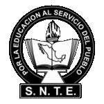 Snte Seccion Logo Transparent PNG